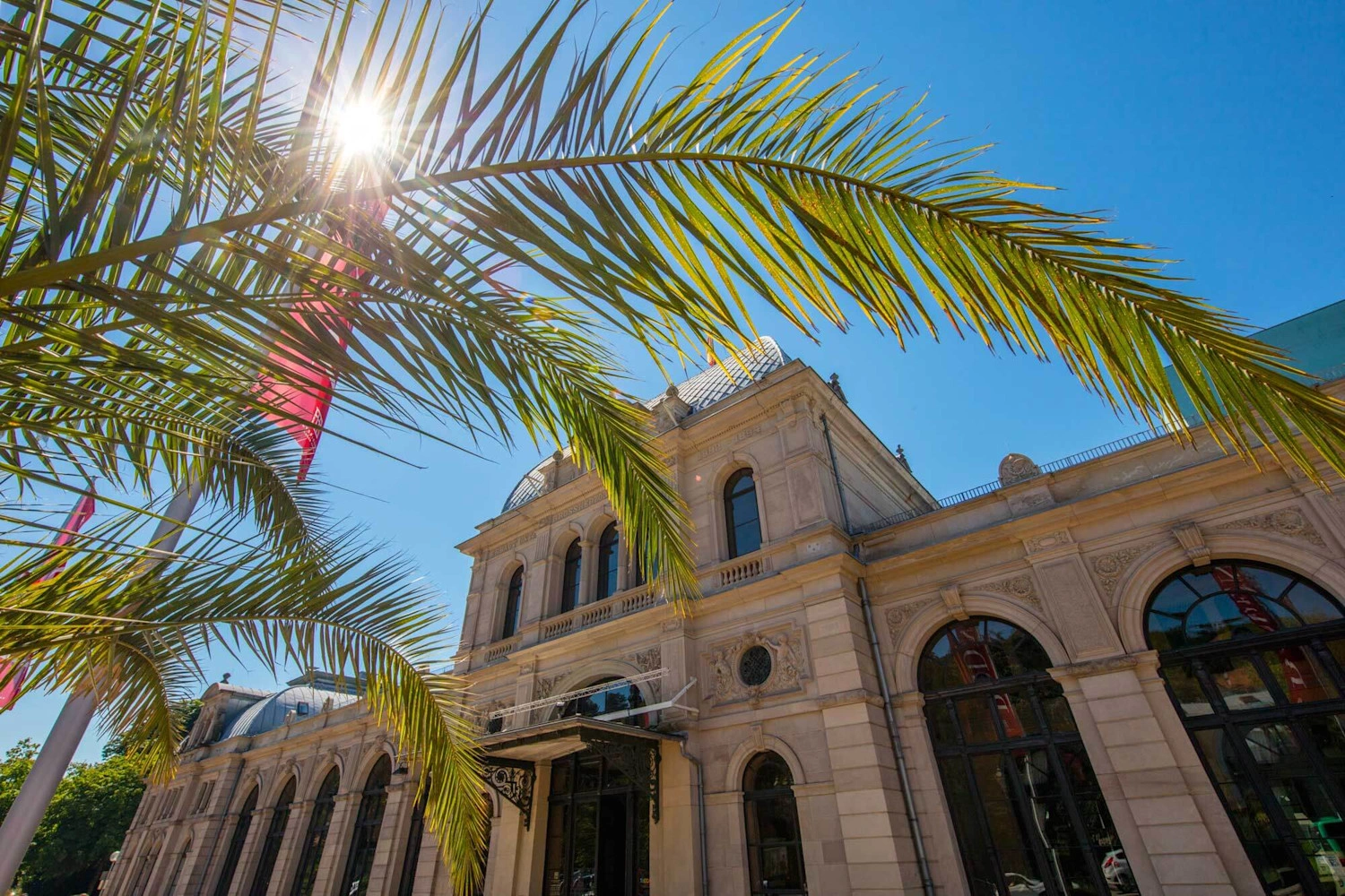 A sand-colored building façade in bright sunshine with palm fronds in front of it.