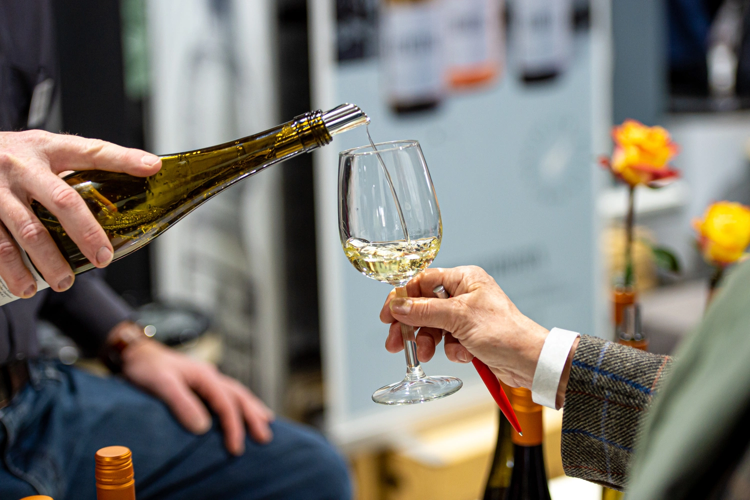 Wein wird in ein Glaß eingeschenkt.