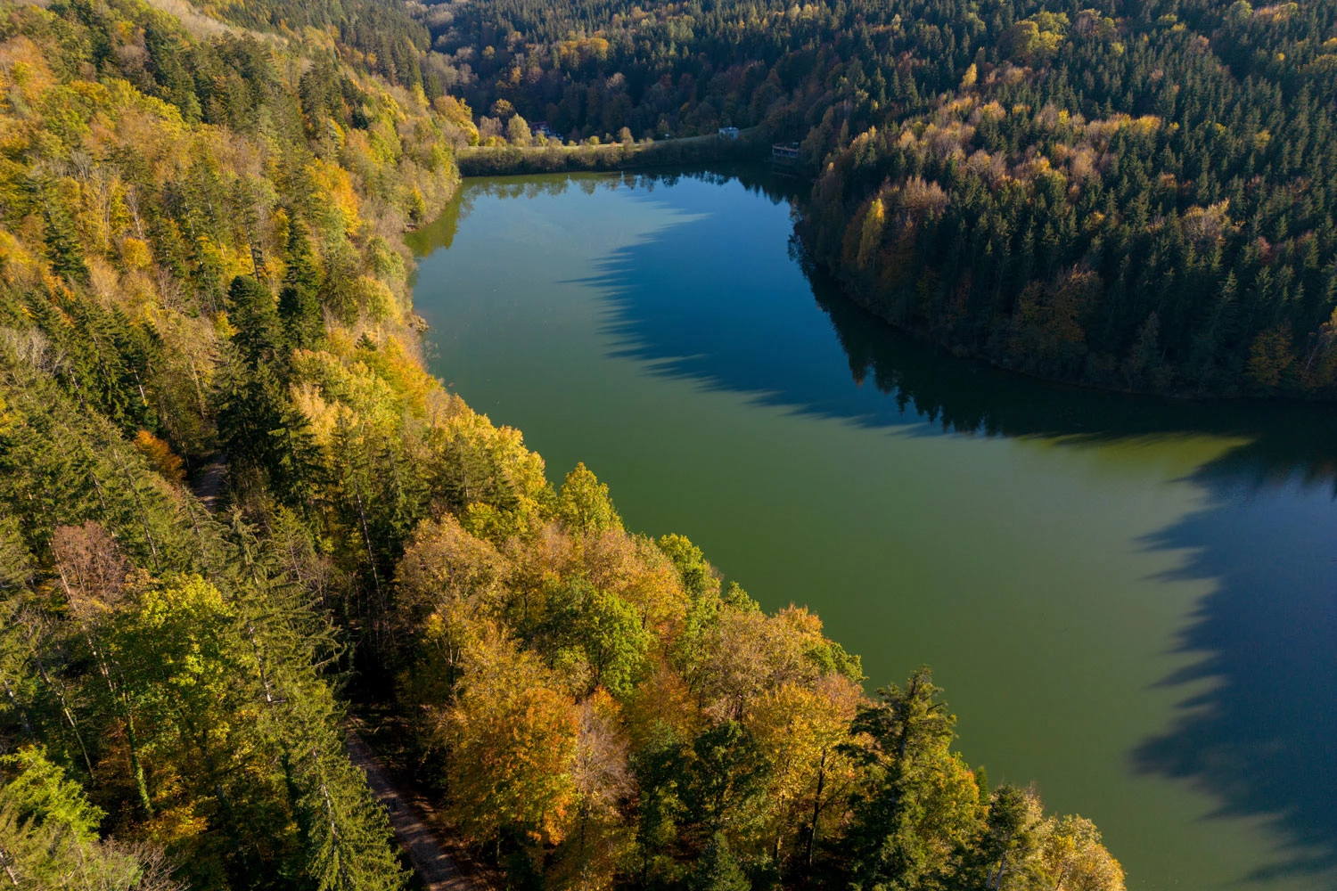  Aerial view of a reservoir surrounded by autumnal forest.