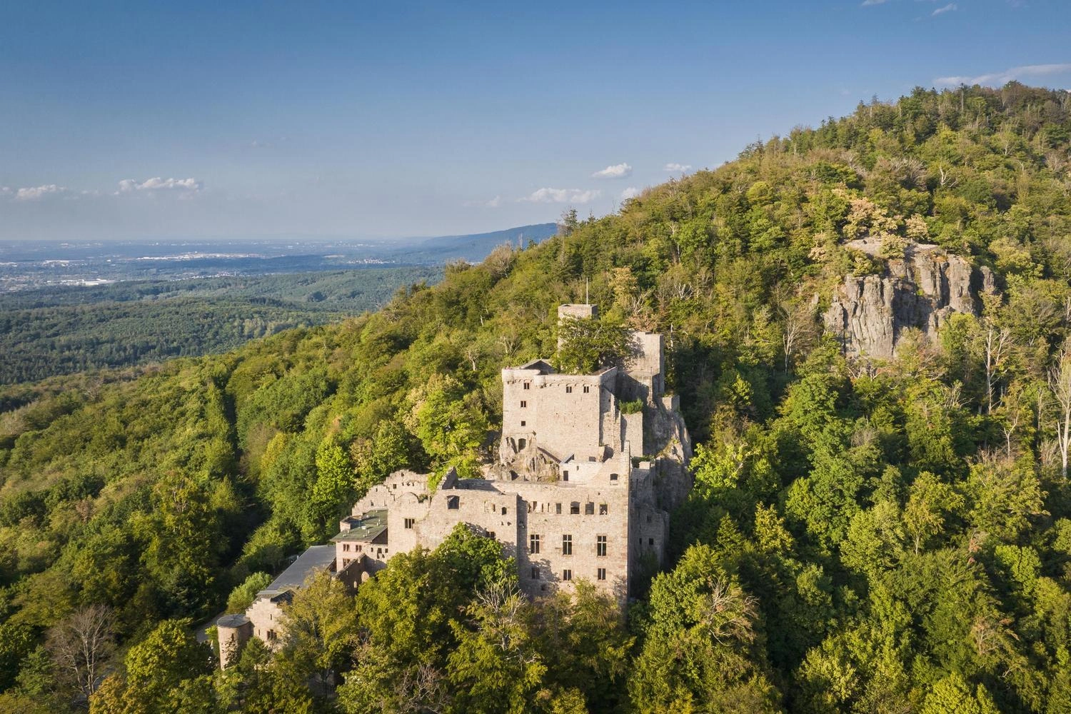 Die Ruine einer Burg steht in einem Wald. Die Aussicht reicht bis weit ins Flachland.