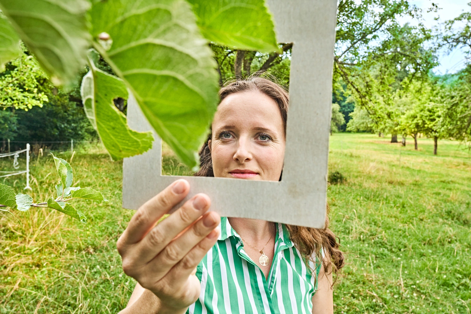 Person hält einen rechteckigen Rahmen vor einen Ast mit grünen Blättern auf einer Streuobstwiese. 