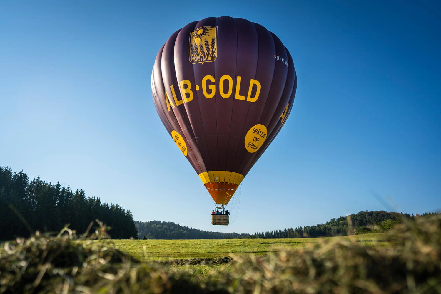 A hot air balloon takes off from a meadow.