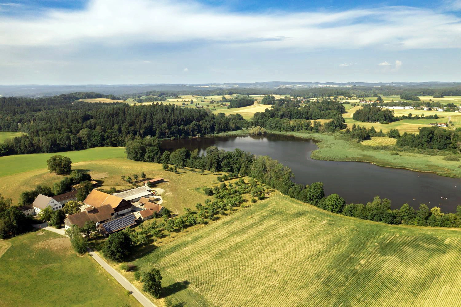 Luftaufnahme eines Hofes mit roten Dächern, Streuobstwiesen und Feldern neben einem See, umgeben von Wäldern und sanfter Hügellandschaft.