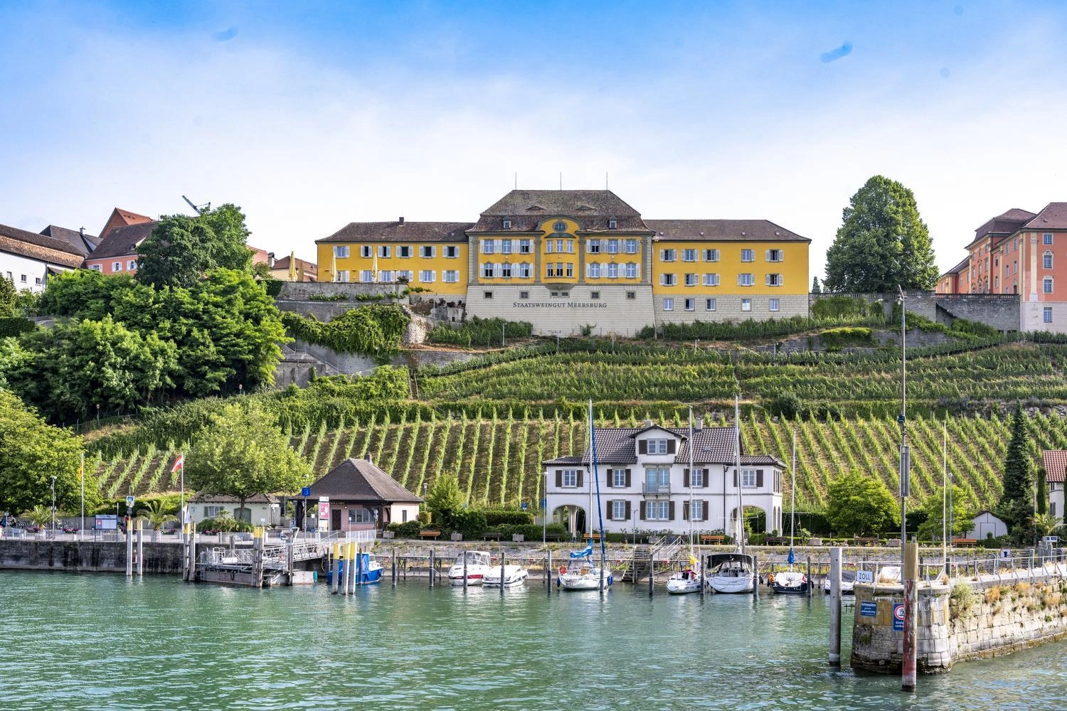Blick auf ein gelbes Schloss. Es liegt auf einer Anhöhe an der Reben wachsen. Im Vordergrund ist ein kleiner Hafen und Wasser zu sehen.