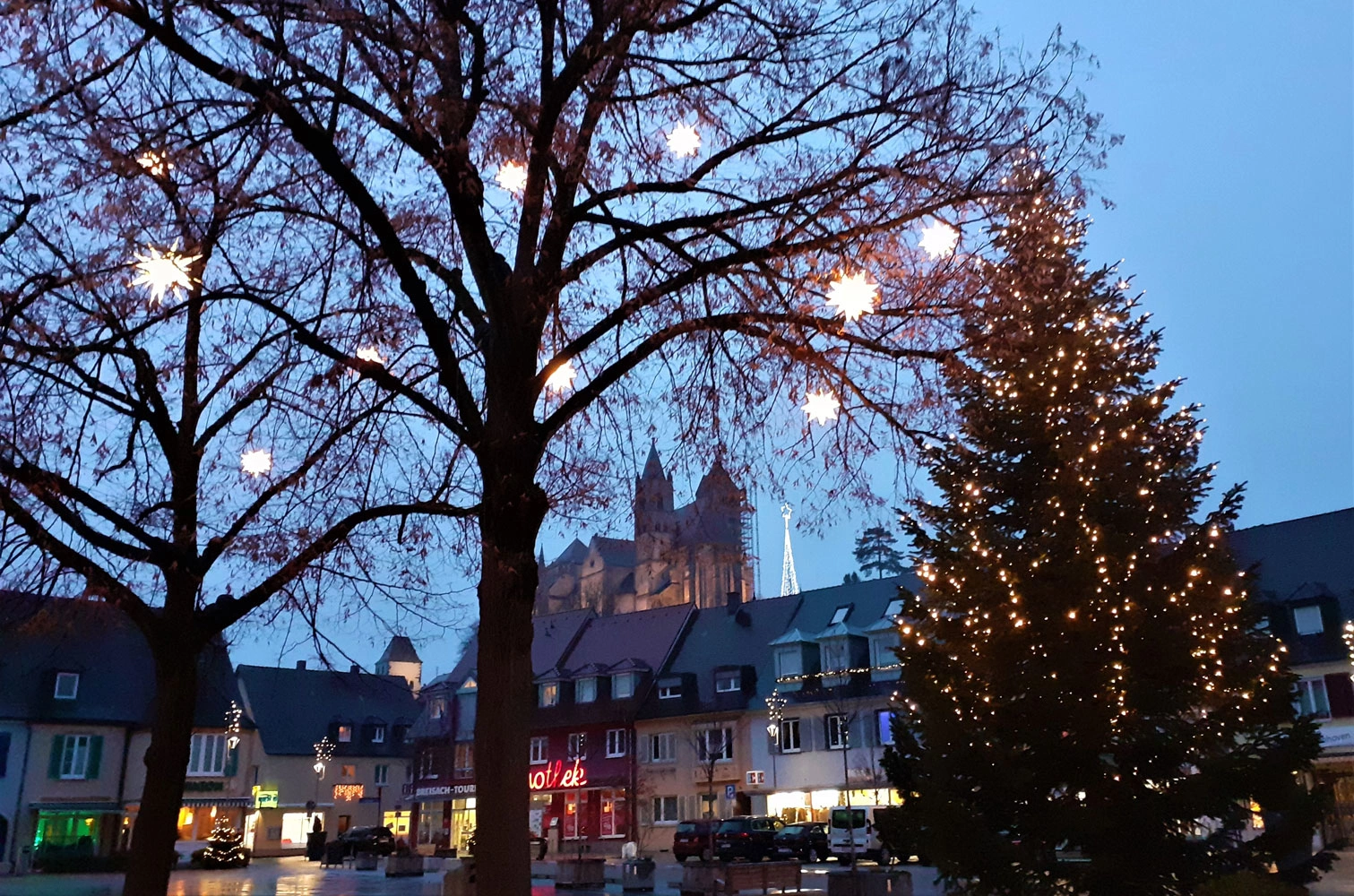 Christmas tree in a town square, with a large church in the background.