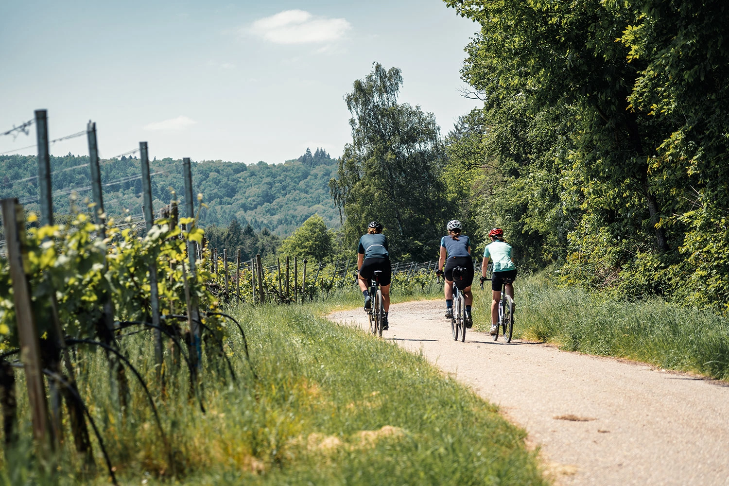 Cycle Germany Cycling Routes Baden-Württemberg: The Best Bike Tours