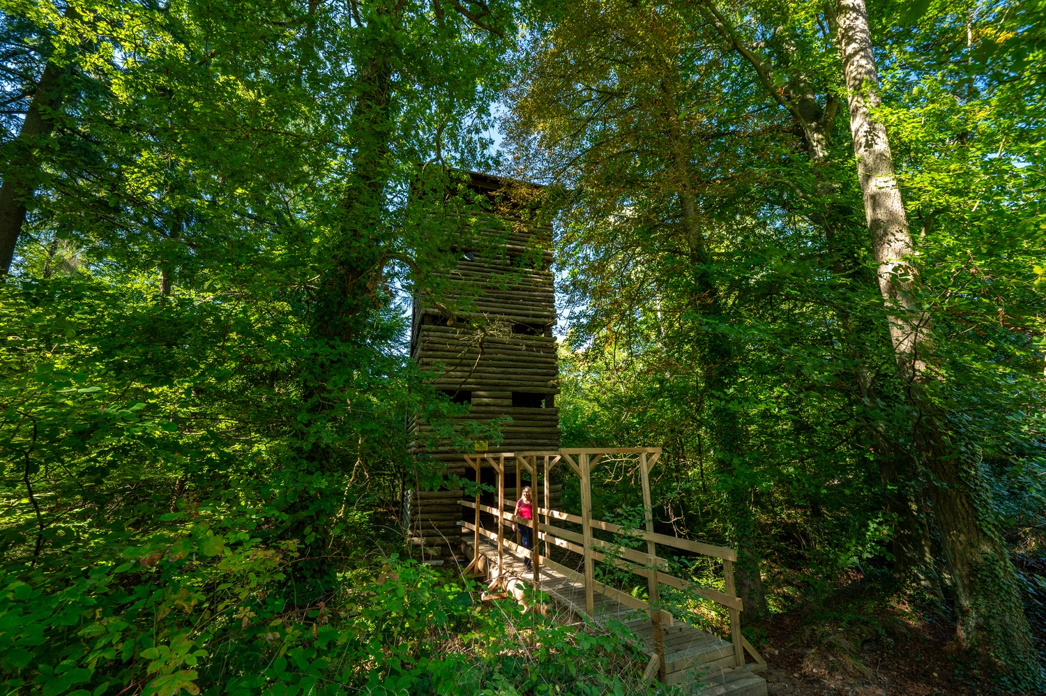 Ein Holzturm mitten in einem grünen Wald.