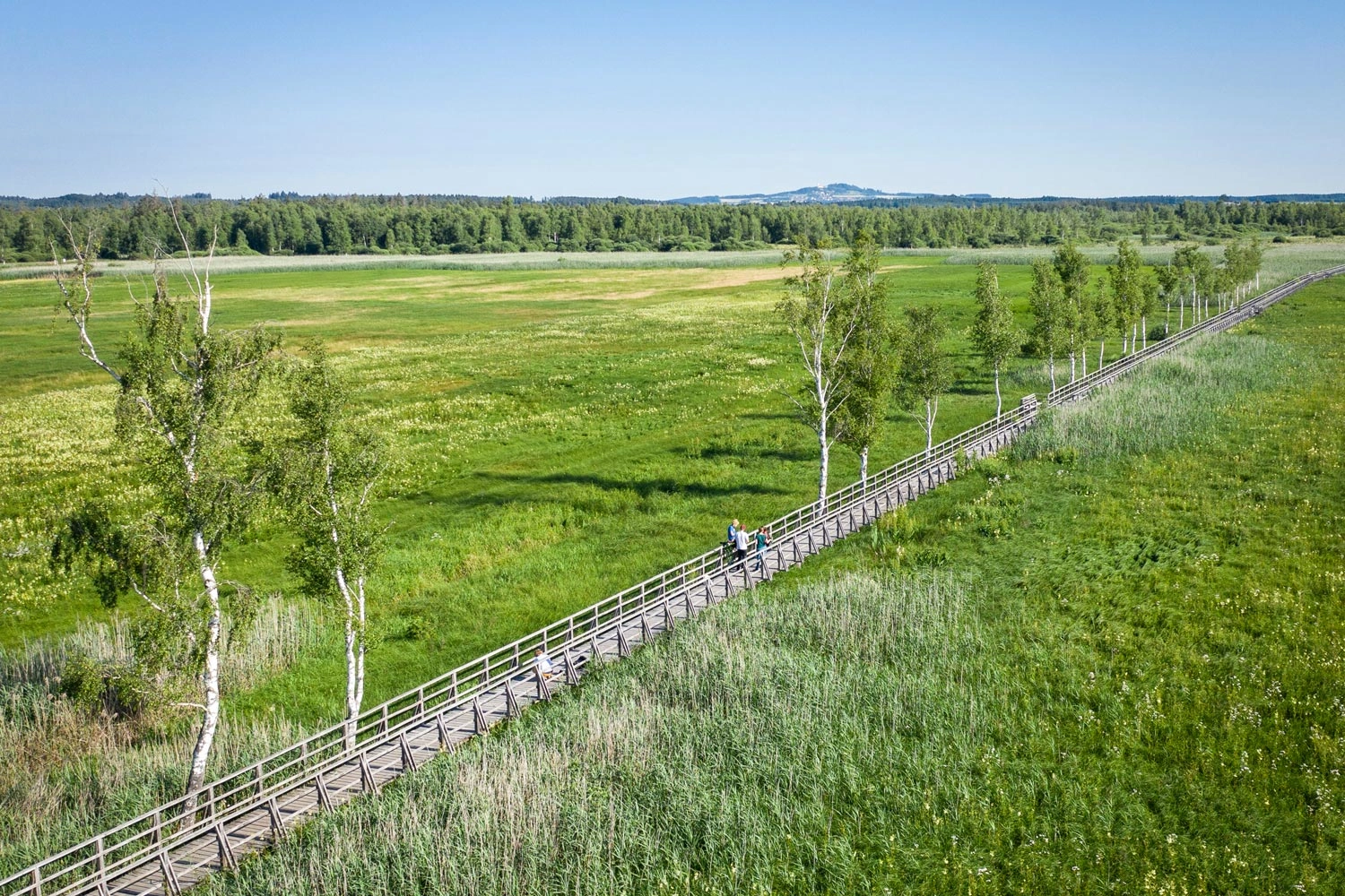 A long wooden walkway leads across a large meadow.