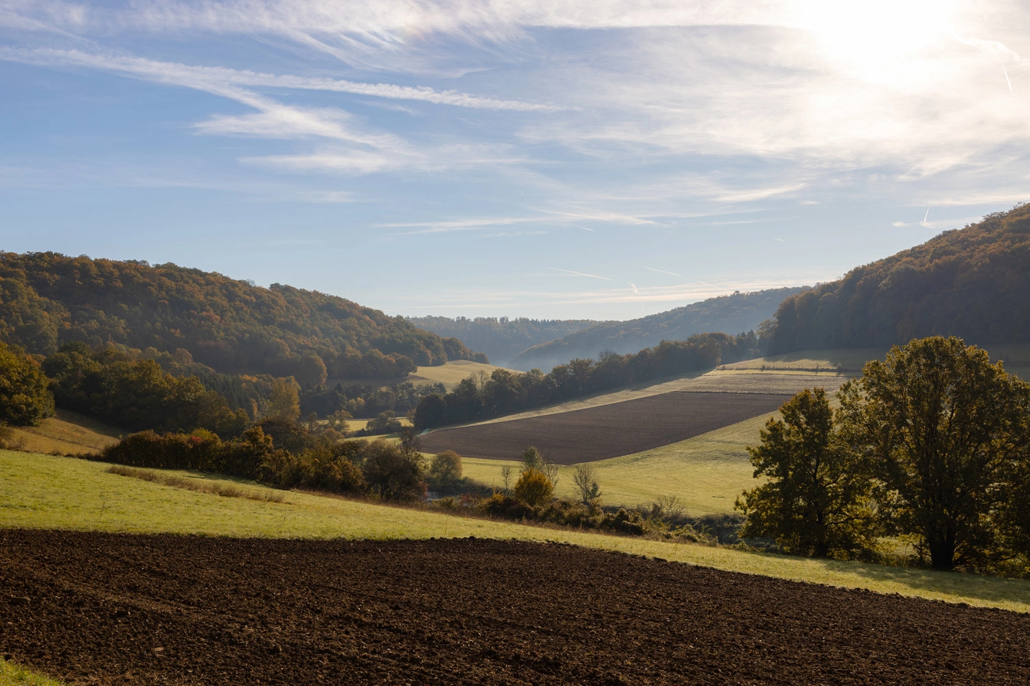 View over meadows, fields and forests in the Hohenlohe Region.