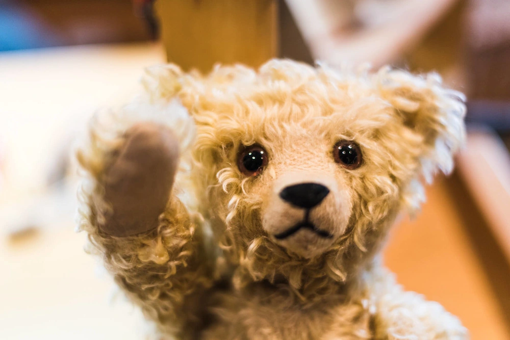 Ein Teddy der als Platzhalter dient