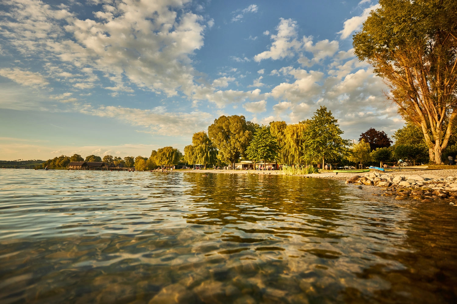 Blick auf einen See. Am Ufer stehen viele Bäume.