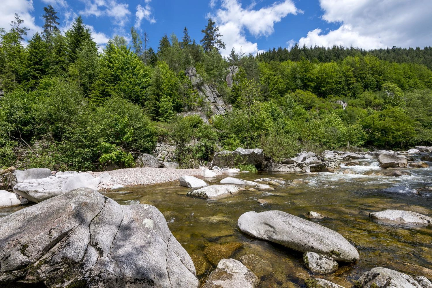 A riverbed with many stones in the river.