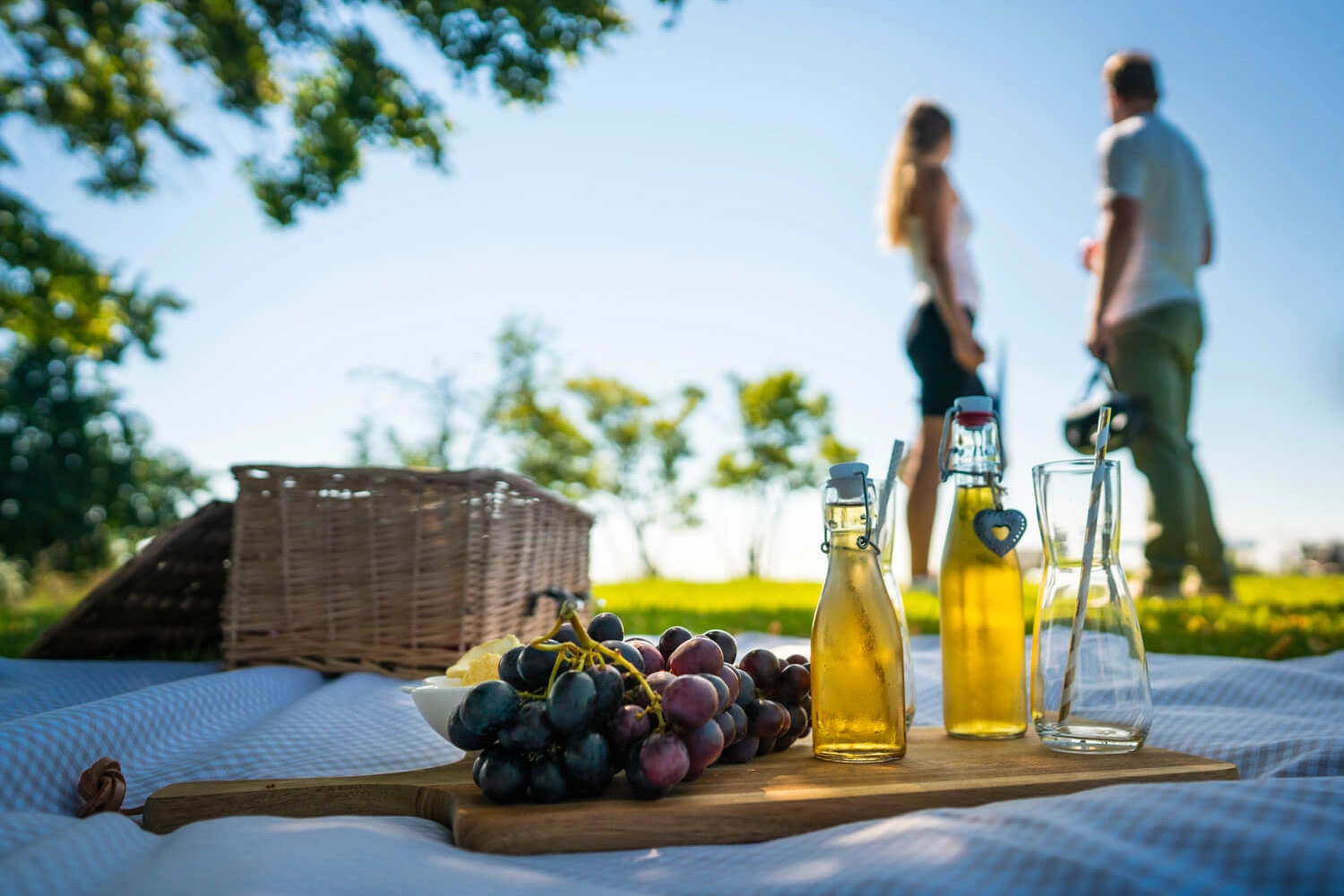 A picnic board with grapes and bottles of drink are spread out on a picnic blanket. Two people are standing in the background.