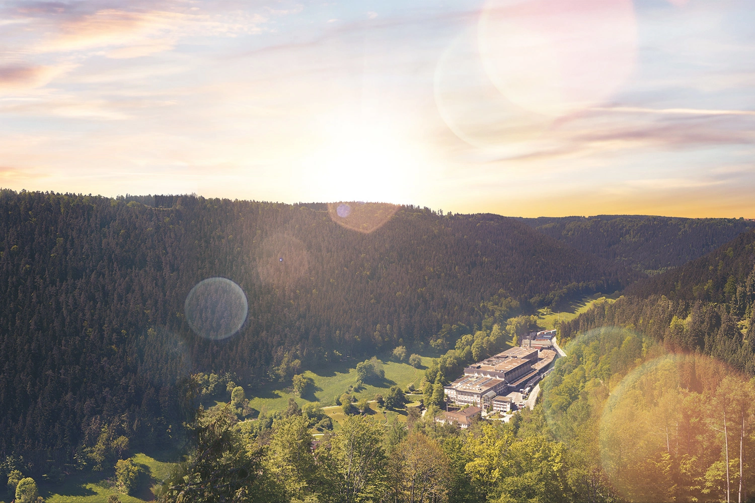Ein malerisches Landschaftsbild zeigt einen dichten Wald, der sanfte Hügel bedeckt. Im Hintergrund geht die Sonne auf oder unter und taucht die Szene in ein warmes Licht. 