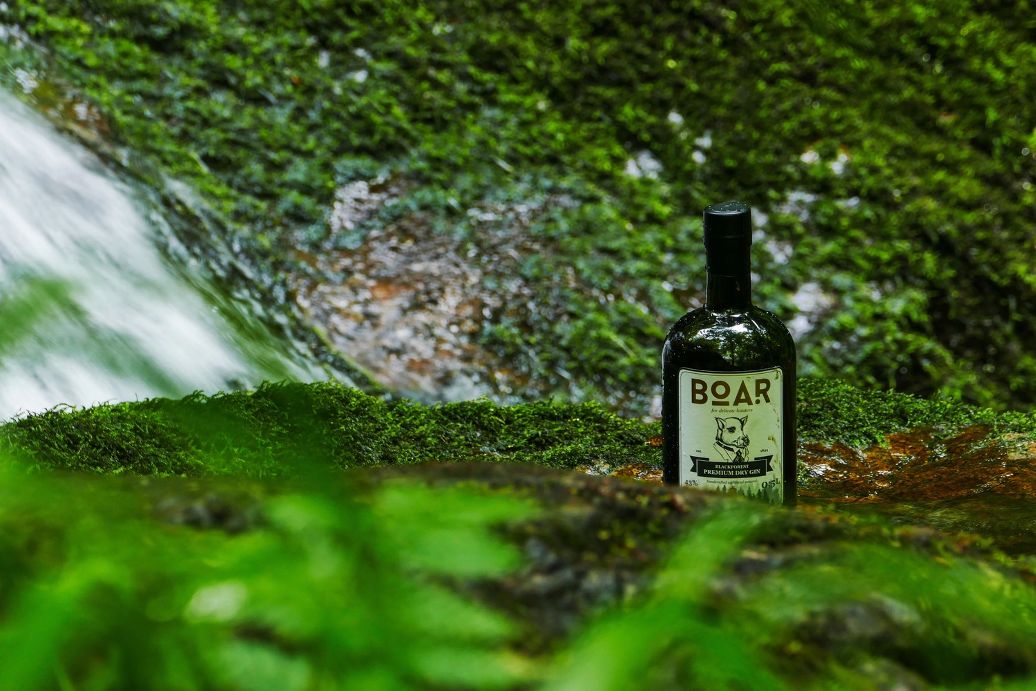 Flasche Boar Gin an einem Waldbach im Schwarzwald, umgeben von Moos und natürlicher Vegetation.