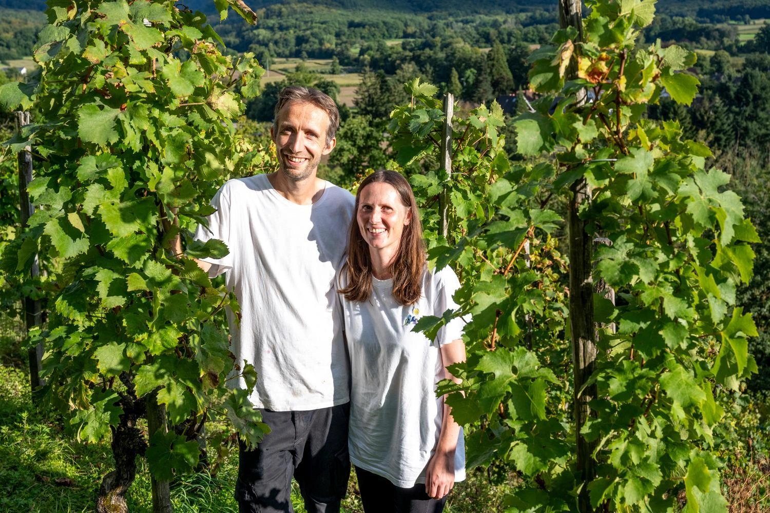 Two people stand among green vines in a sunny vineyard with hills and countryside in the background.