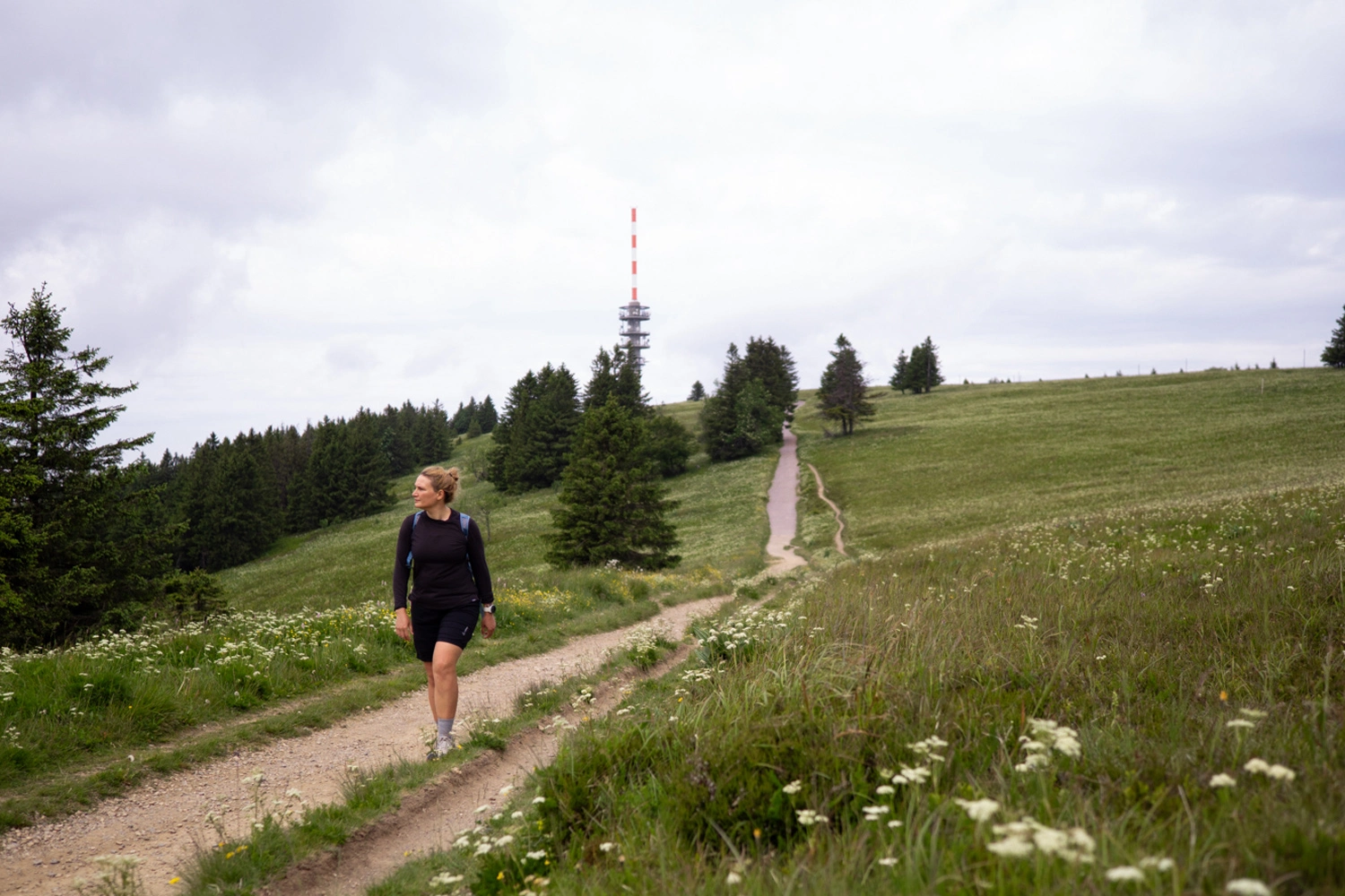 Hiking tour: A person is walking along a gravel path through open meadows. 