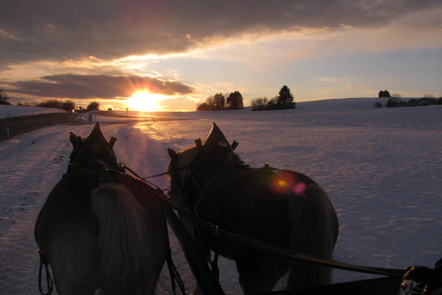 Zwei Pferde ziehen eine Kutsche auf verschneitem Weg bei Sonnenuntergang, mit weitem Blick über schneebedeckte Felder und Bäume