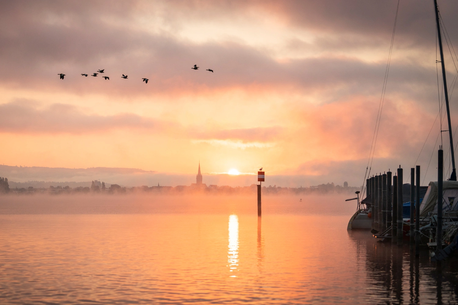 Sunrise over a misty lake, birds flying across the sky, a marker in the water, and boats at the dock in the warm morning light.