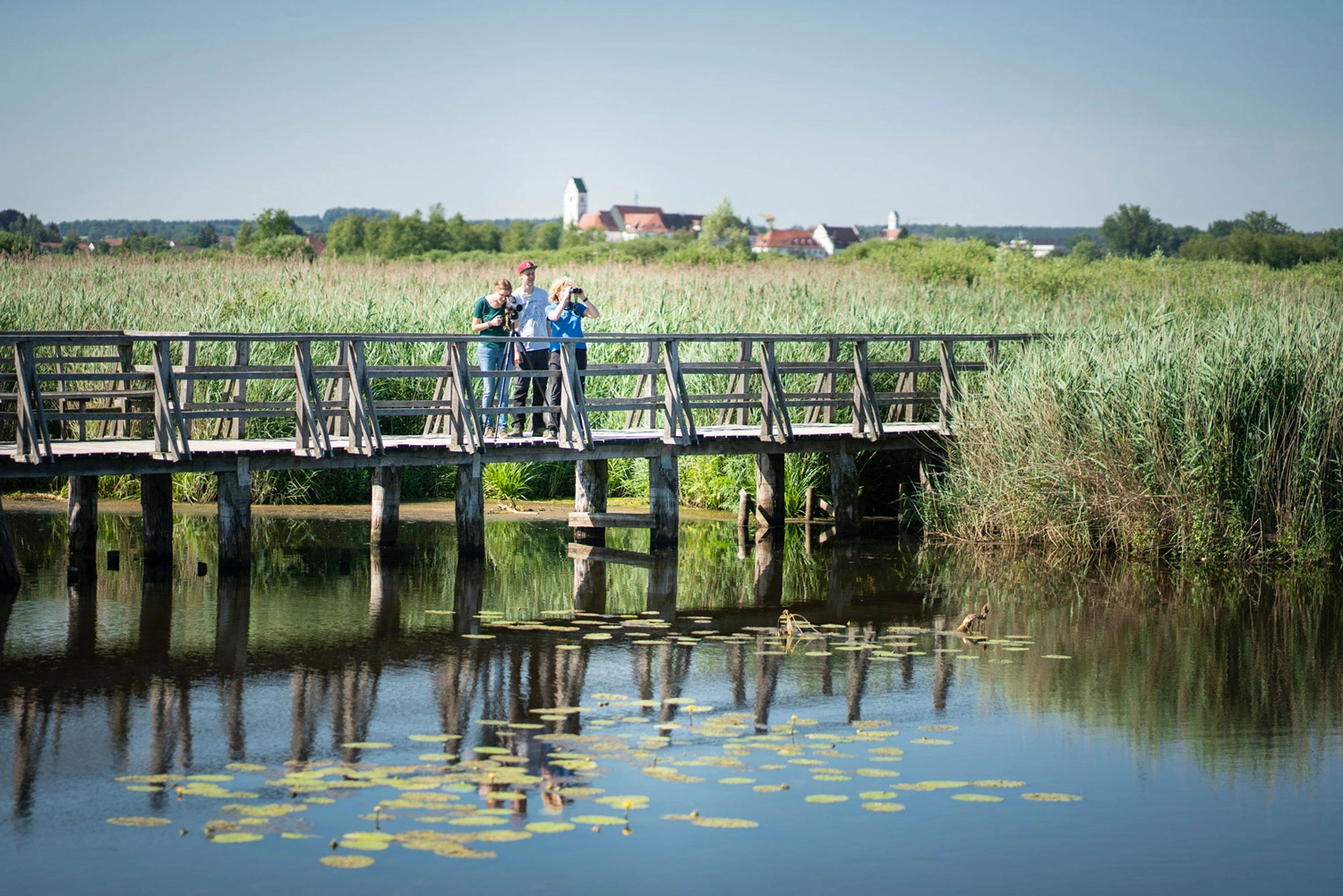 People standing on a footbridge over a moor watching birds.