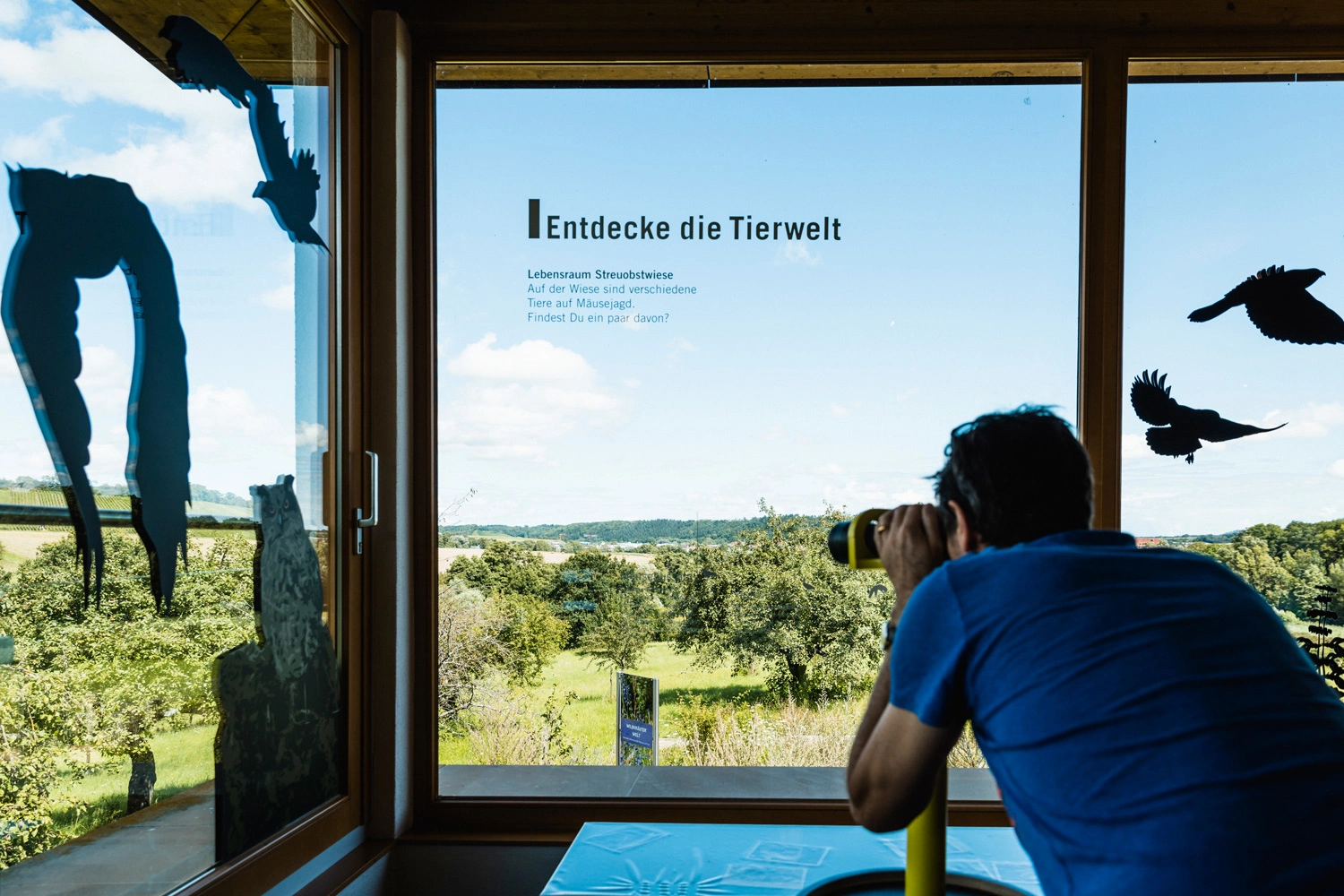 Ein Mann schaut aus einem Panoramafenster durch ein Fernrohr auf Streuobstwiesen.