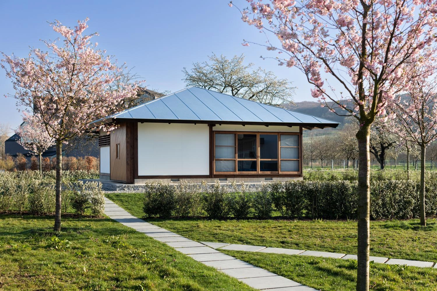 Ein bungalow-artiger Bau mit spitzem Dach steht im Grünen umgeben von rosa blühenden Kirschbäumen.