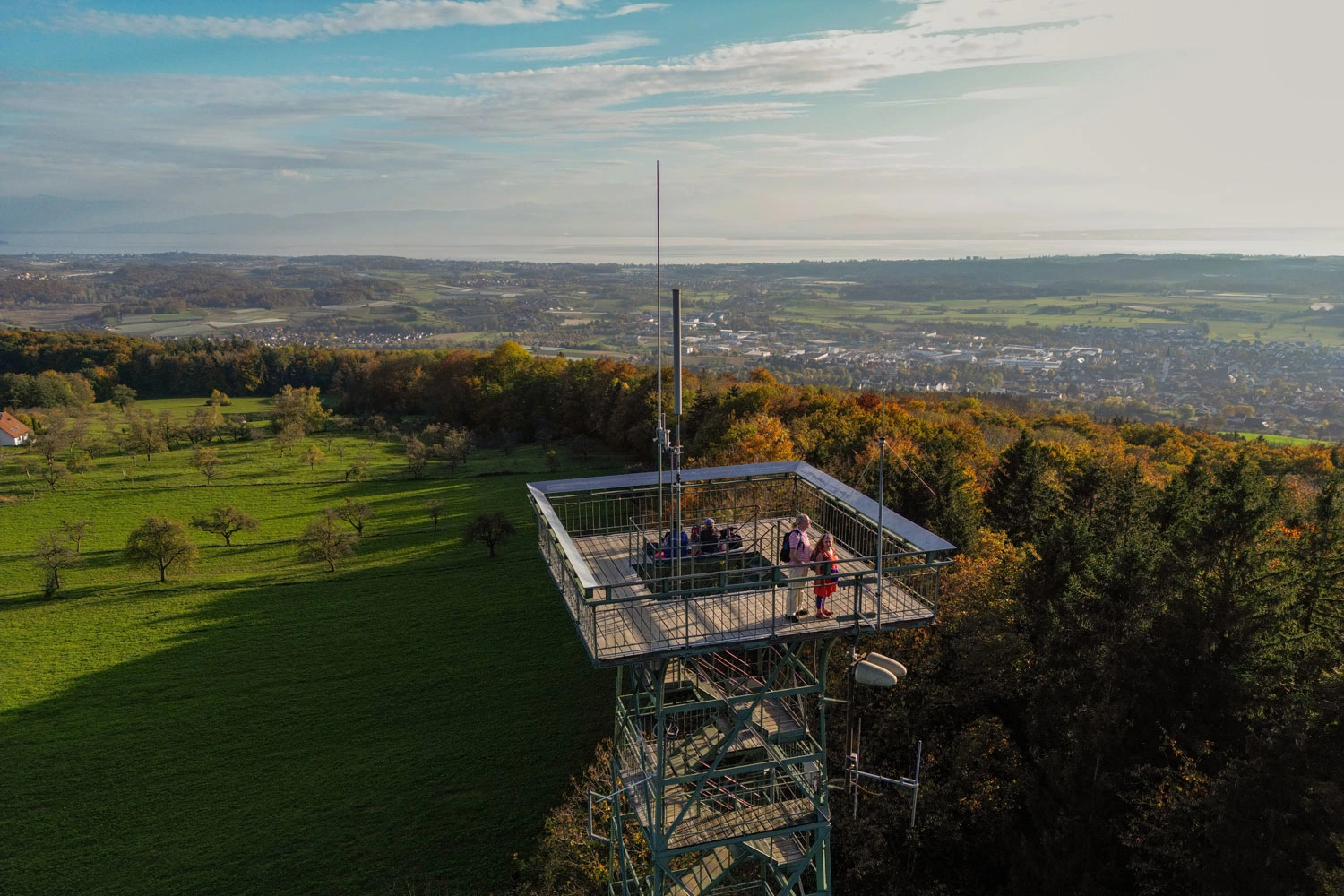  View from a lookout tower over a wide valley.