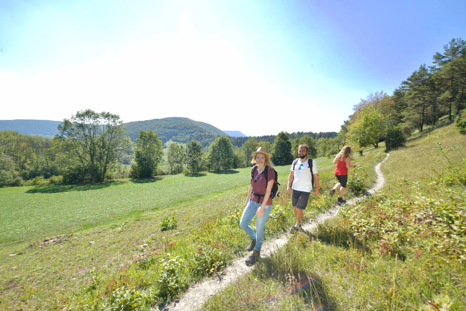 A young hiking group is on a narrow path with green meadows to the right and left. In the background you can see mountains and the blue, bright sky.