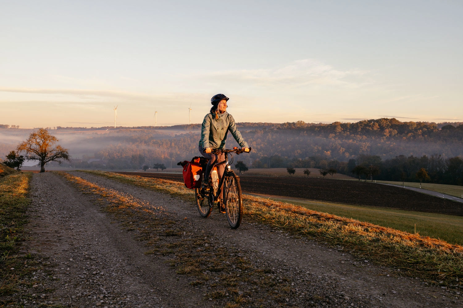 A cyclist rides through an autumnal morning landscape. A veil of mist can be seen in the background.