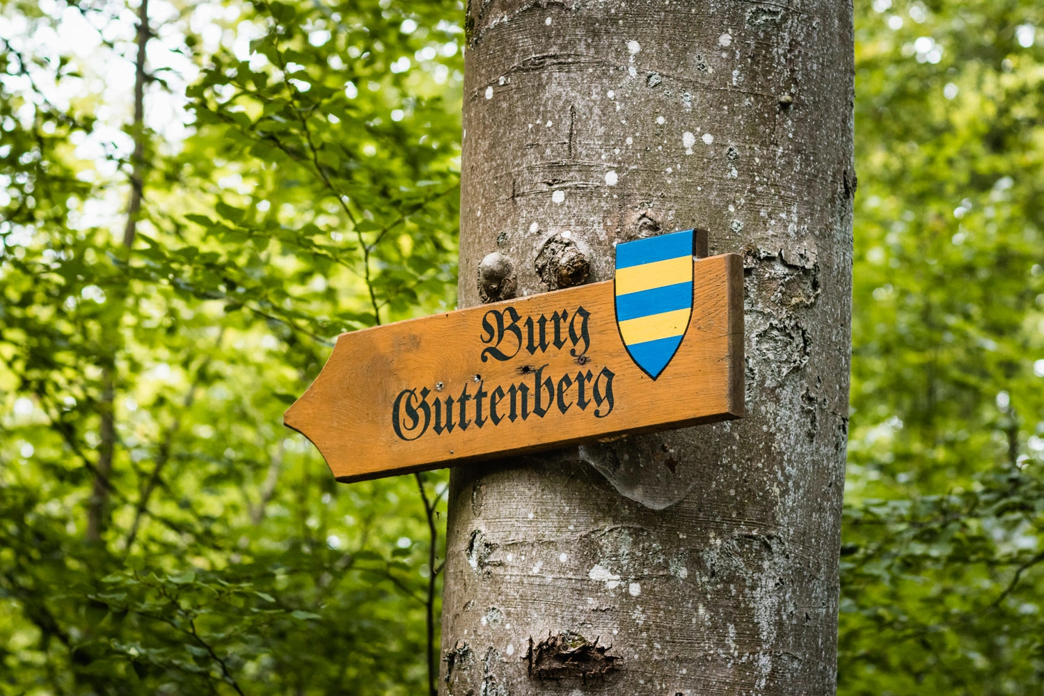 Hassmersheim_Odenwald_Wegweiser-Burg-Guttenberg_(c)_Stefan-Kuhn-Photography
