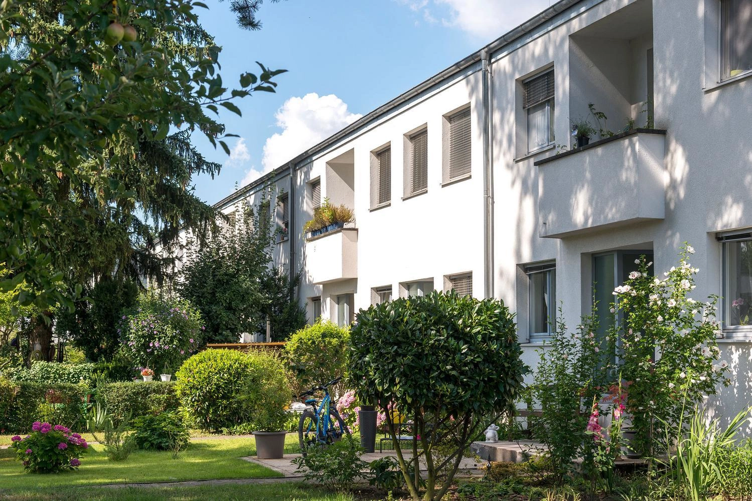 A row of modern townhouses surrounded by greenery.