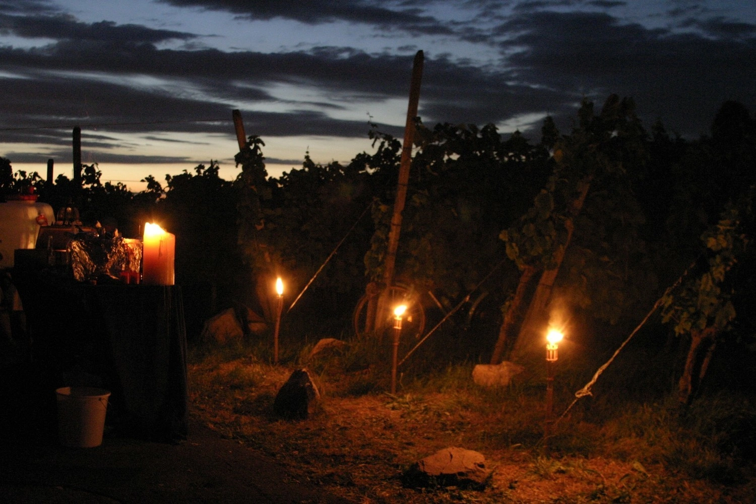 Fackeln beleuchten einen Weinberg bei Nacht.