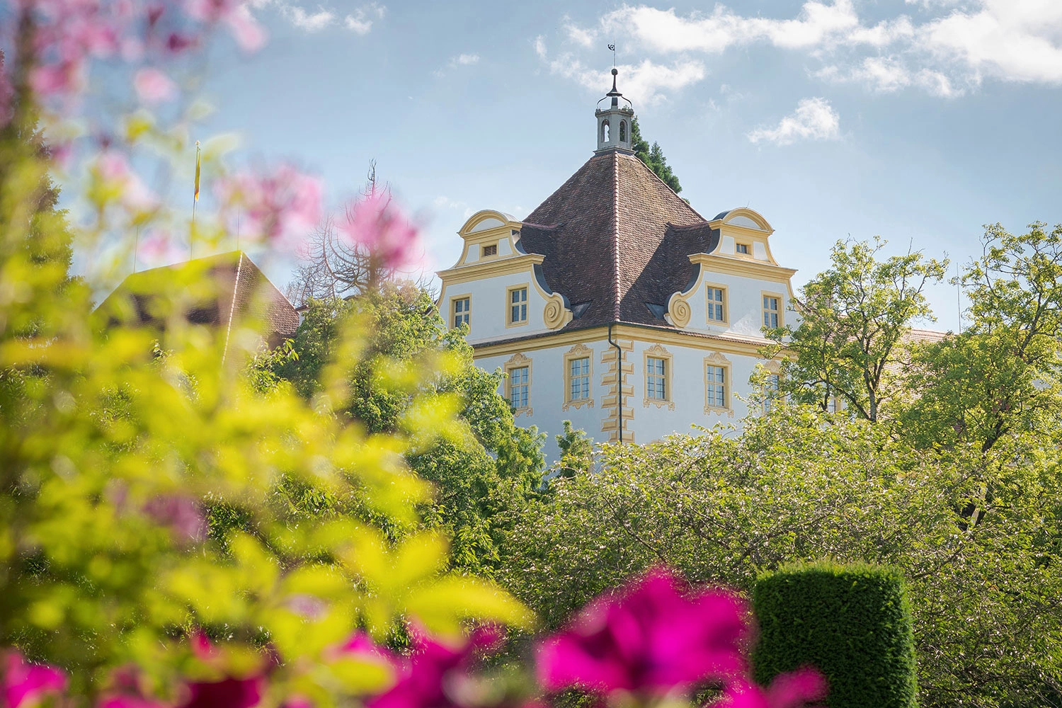 The top of a castle peeks out from behind a hedge.