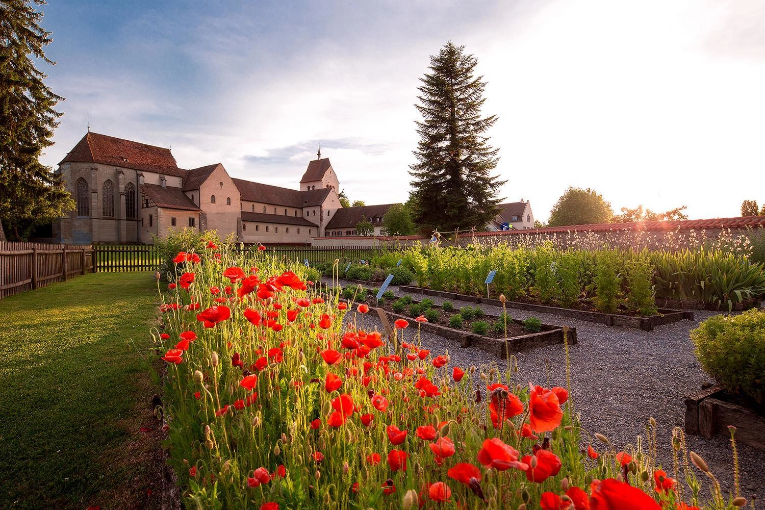 Klostergarten mit roten Mohnblumen vor historischen Gebäuden in warmem Abendlicht.