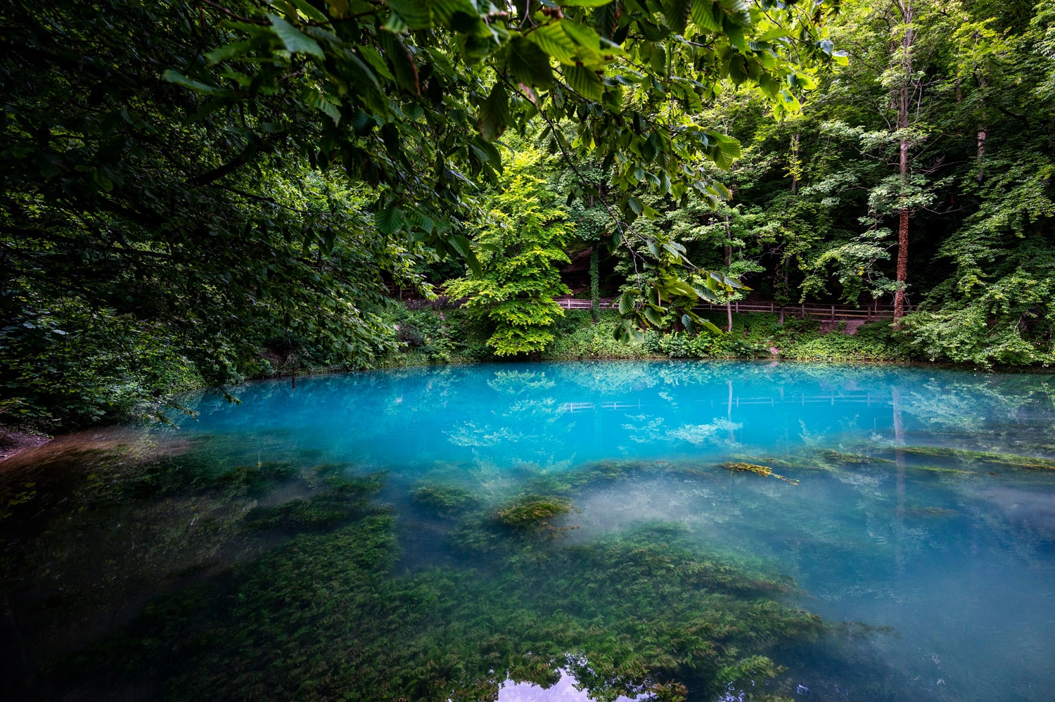 A small, deep blue lake surrounded by trees