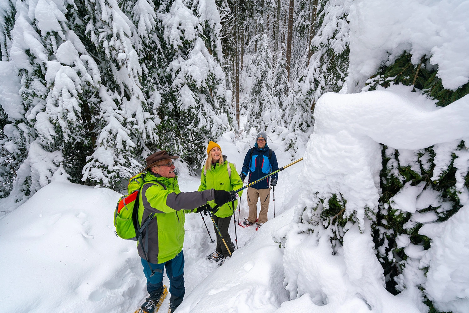 Three people snowshoeing. The guide points out something on a snow-covered fir tree with his walking stick.