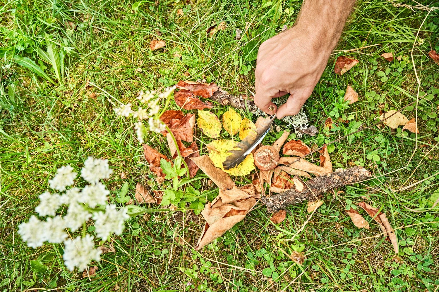 Hand legt eine Feder auf verschiedene bunte Blätter, Zweige und Naturmaterialien auf einer Wiese.