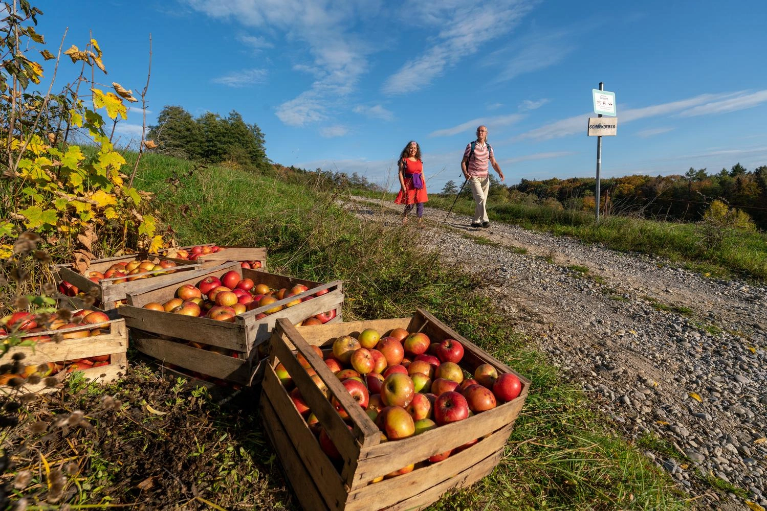  In the foreground are wooden crates with apples. In the background, people on a hiking trail can be seen out of focus.