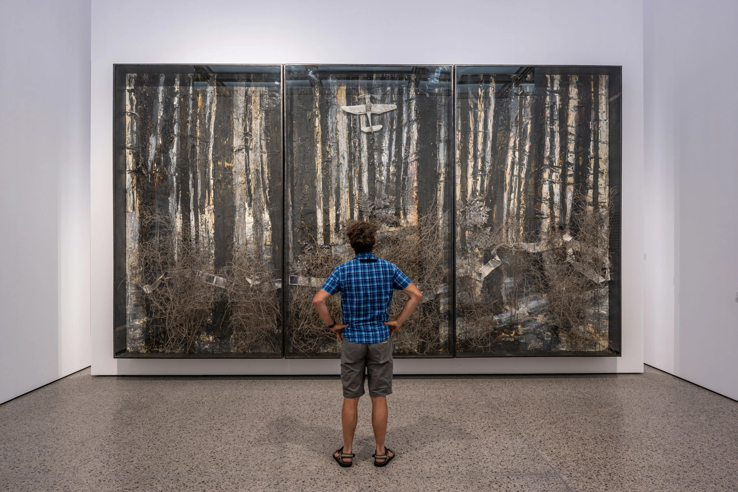 A man marvels at a work of art hanging on a white wall, on which tree trunks are depicted.