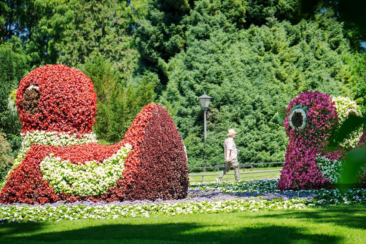 Giant duck sculpture formed from flowers. 