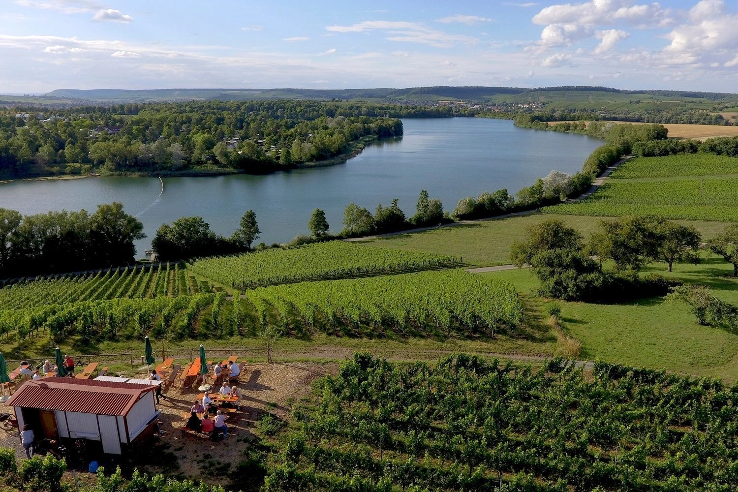 A view across vineyards to a lengthy lake