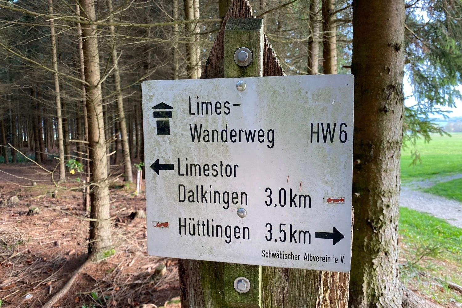 Wegweiser auf einem Wanderweg im Wald