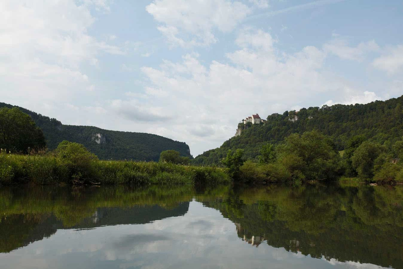 Blick über die Donau mit vielen Bäumen am Ufer. Im Hintergrund sieht man auf einem Fells ein Schloss.