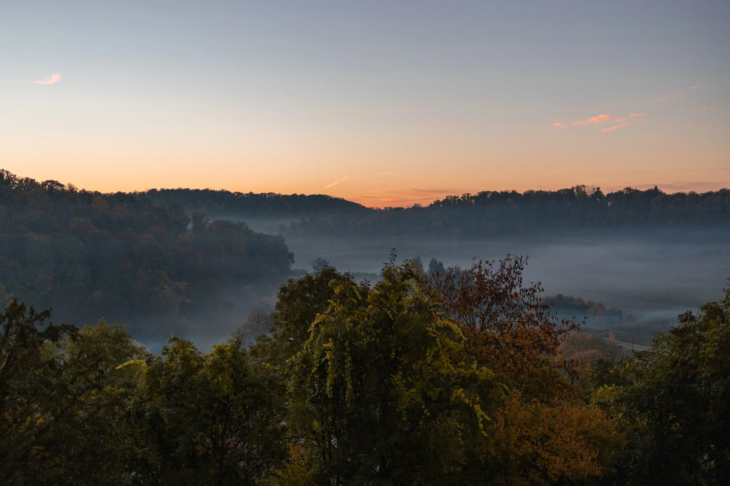 Sunrise in a wooded landscape with wafts of mist