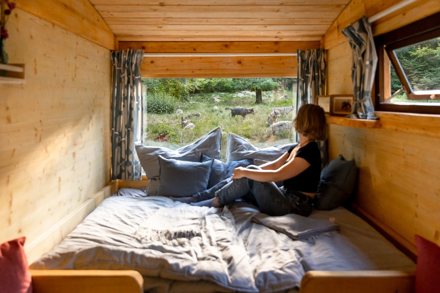 Eine Frau sitzt auf dem Bett einer kleinen Holzhütte und beobachtet durch das Fenster Wölfe.