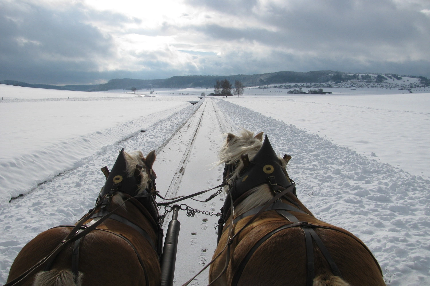 Zwei Pferde ziehen eine Kutsche auf einem verschneiten Weg durch eine weite Winterlandschaft mit Bergen im Hintergrund.