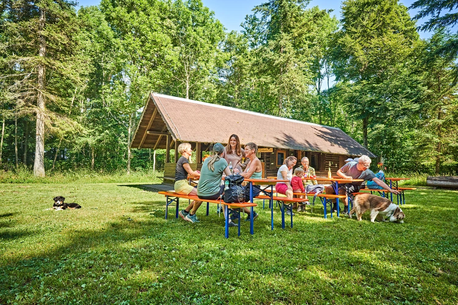 Gruppe sitzt an Biertischgarnituren vor der Lemberghütte im Grünen, umgeben von Wald, mit zwei Hunden auf der Wiese.
