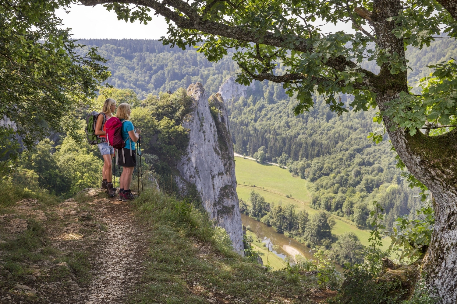 Two hikers are standing on a wooded rocky outcrop. A river flows through the valley.