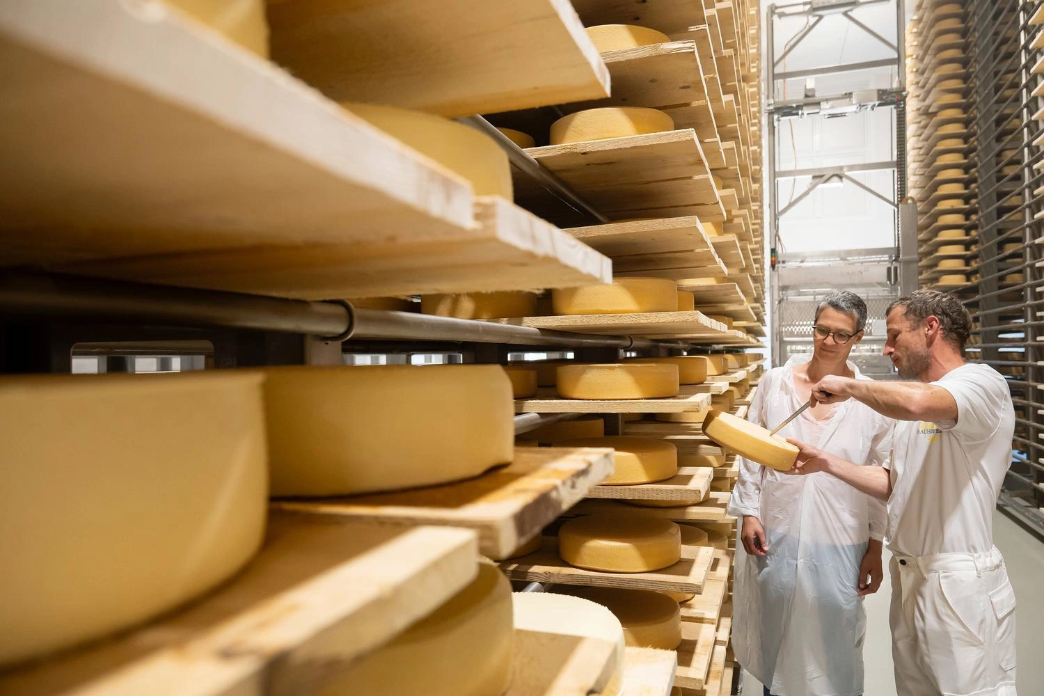 Reihen von runden Käselaiben auf Holzregalen in einem Käselager, daneben zeigt eine Person ein Käserad.