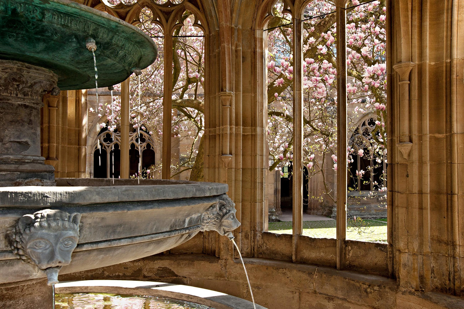 Historic fountain in the Gothic fountain house at Maulbronn Monastery, framed by pointed arches and a pink-flowering magnolia.